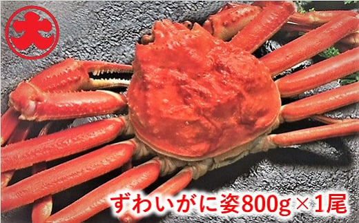 ずわいがに姿800g×1尾