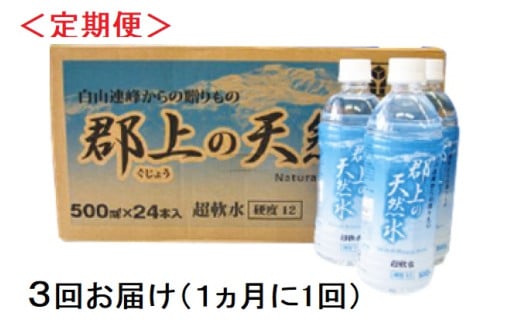 【R-10】（定期便）清流長良川源流「郡上の天然水」500ml(24本入)1箱×3回お届け