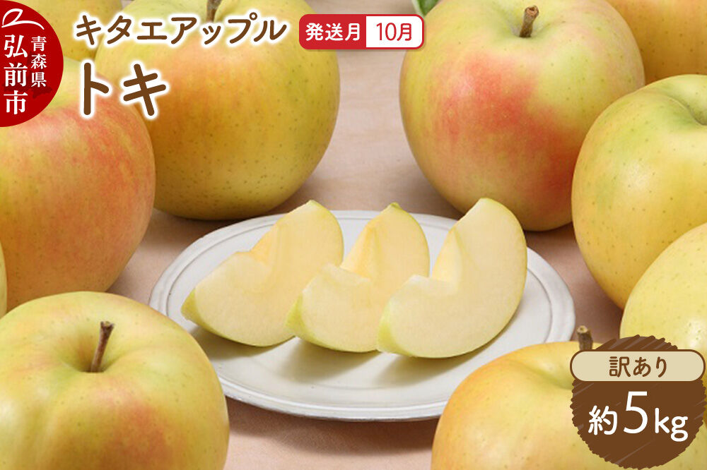 【26年10月発送】りんご トキ【訳あり】約5kg キタエアップル 青森県 弘前市 [先行予約 トキ りんご 訳あり 家庭用 アップル おいしい 果実 果物 黄色 美味 林檎]