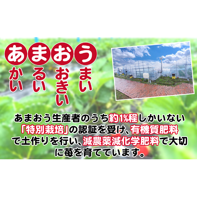 いちご 2025年12月より発送 特選あまおう 400g ※配送不可：離島_イメージ3