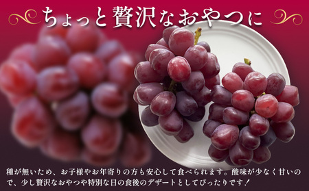 富士の輝1房《8月下旬-9月下旬頃出荷予定》富士の輝きぶどう果物フルーツ贈り物お取り寄せフルーツ【配送不可地域あり】(離島)