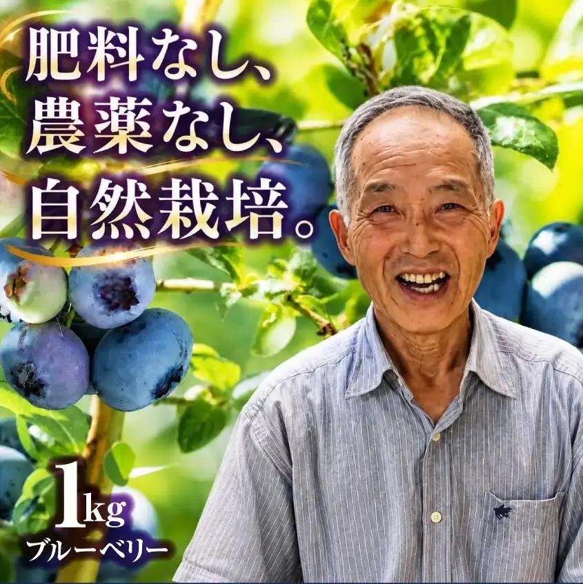 冷凍ブルーベリー 1kg [ku001-1kg] ベリー