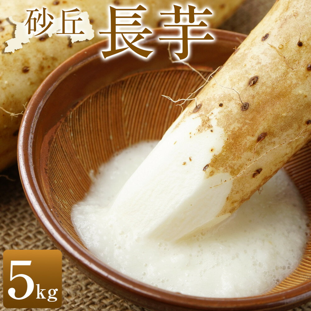 砂丘長芋　5kg◇※2023年11月中旬～2024年3月下旬頃に順次発送予定