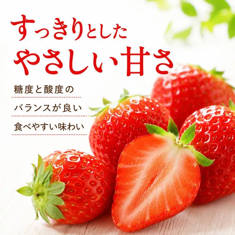 いちご イチゴ 苺 先行予約 12月発送 家庭用 もういっこ 宮城県亘理町産 500g 250g×2パック 小分け 冷蔵配送 国産 フルーツ 返礼品