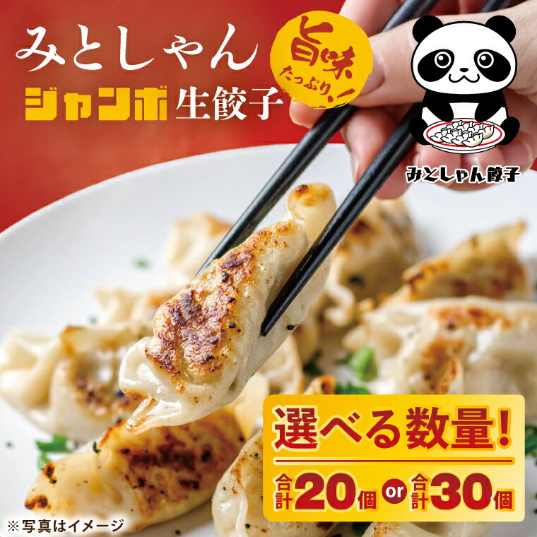 【ふるさと納税】【選べる内容量】旨味たっぷり！本場プロの中華料理人が作る みとしゃんジャンボ餃子【香香 シャンシャン 中華 人気 老舗 焼き餃子 冷凍 ぎょうざ ギョーザ シューマイ簡単調理 惣菜 おかず 水戸市 茨城県】（CS-4|CS-5）