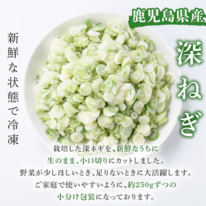 ＜先行予約受付中！2025年2月中旬以降順次発送予定＞冷凍深ネギ(小口切り：計1.25kg・250g/袋) 野菜 冷凍 冷凍野菜 小分け ねぎ ネギ 深ネギ 小口切り 斜め切り ねぎま 簡単 手軽 小