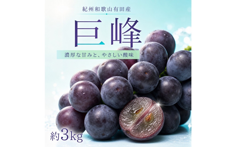 紀州有田産の巨峰ぶどう約３kg【先行予約】【2026年8月下旬以降発送予定】AN020