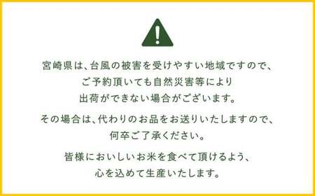 ＜【12月発送】令和6年産 宮崎産ヒノヒカリ （無洗米真空パック） 2kg×5袋＞【c090_ku_x9-dec】 米 ヒノヒカリ コメ 無洗米