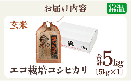 【先行予約】【令和8年産 新米】エコ栽培コシヒカリ　玄米5kg ／ 鮮度抜群 福井県産 こしひかり ご飯 新鮮 玄米 ※2026年10月上旬以降順次発送 [aw063-a013]