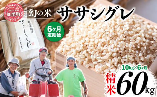 新米 【 6回 定期便 】ササシグレ 玄米 10kg × 6回（ 合計 60kg ）