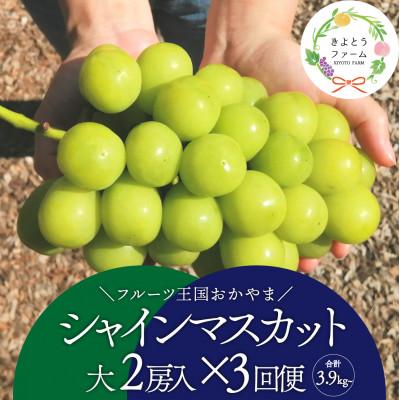 ふるさと納税 真庭市 【発送月固定定期便】シャインマスカット(大2房)を楽しむ満足便!3便計3.9kg〜(岡山県産)全3回