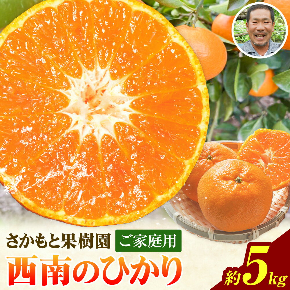 【ふるさと納税】 西南のひかり 約5kg さかもと果樹園《11月中旬-12月末頃出荷》熊本県 玉名郡 玉東町 みかん 柑橘 フルーツ 果物 ご家庭用 サイズミックス