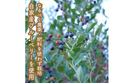 スイスで加工品を学んだ農家が作った手づくりジャムソース 16本セット 手作りみかん キウイ あまなつ ブルーベリー他 125ml 詰め合わせ ギフト【 家庭用 自宅用 贈答品 贈答用 ギフト お取り寄