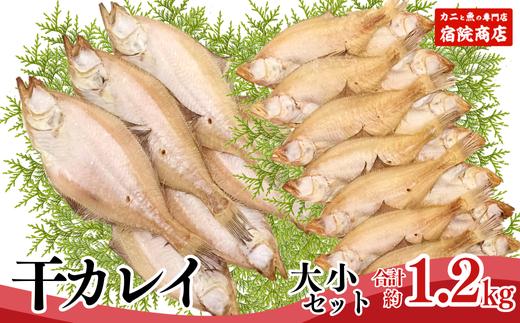 【干物 干カレイセット 合計1.2kg以上（大5～8枚 約600g、小11～15枚 約600g）香住産 冷凍】身の厚い大きめのカレイ、少し小ぶりのカレイセットです。焼きたてに淡口醤油をひとかけすると香りよく食せます。南蛮漬もおススメ。絶妙の塩加減 大人気 ふるさと納税 送料無料 唐揚げ お酒のお供 日本海 香住港 柴山港 兵庫県 香美町 香住 柴山 宿院商店 33-13