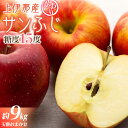 【ふるさと納税】【訳あり】上伊那産サンふじ 約9kg　玉数おまかせ　【 箕輪町 】　お届け：2024年11月上旬～12月下旬