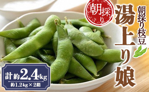 
                  朝採り枝豆 「湯上り娘」 約2.4kg 《令和8年8月～発送》 『最上園』 山形県 南陽市 [684]
                