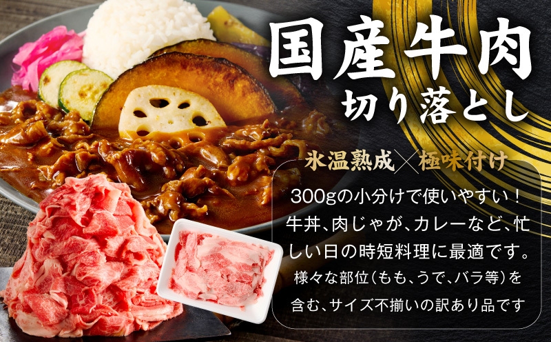 【定期便】国産 牛豚鶏 4種セット 4kg×2回【氷温熟成×極味付け 牛肉 豚肉 鶏肉 もも むね 食べ比べ 普段使い 味付き 小分け 訳あり サイズ不揃い 毎月配送コース】 mrzZ088_イメージ
