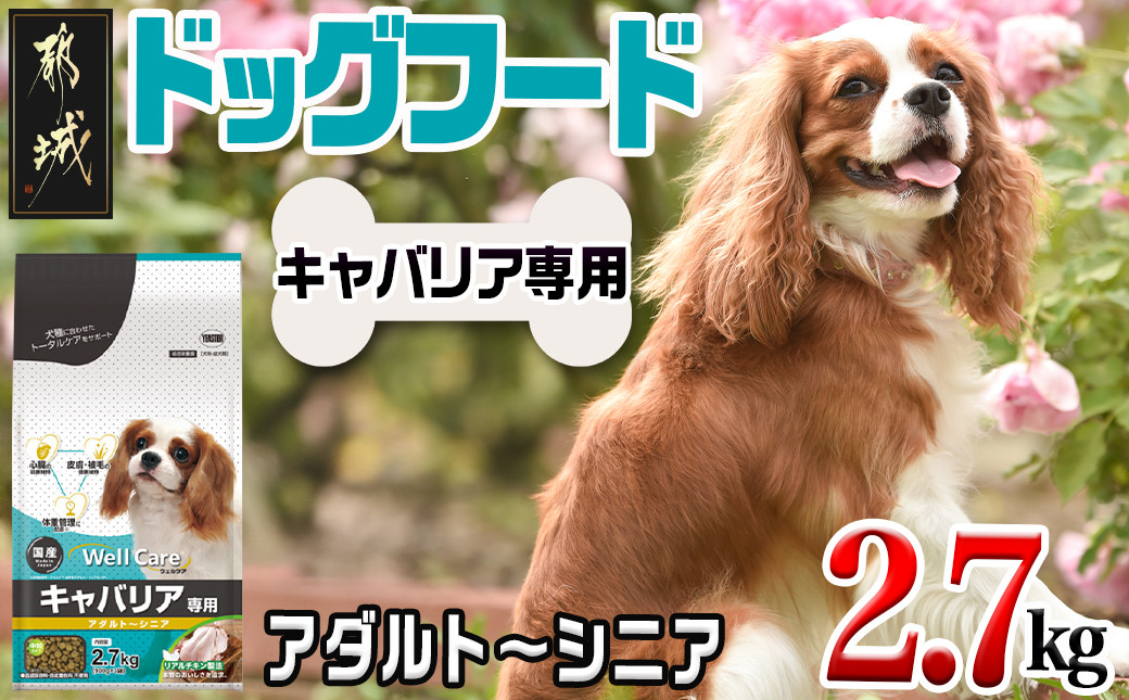 
ドッグフード(キャバリア専用)アダルト～シニア2.7kg_LF-3316_(都城市) 国産総合栄養食 ドライフード 中粒タイプ 健康維持 犬種別 犬用フード キャバリア専用
