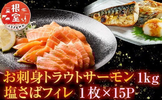 B-09054 お刺身トラウトサーモン1kg、塩さばフィレ1枚×15P