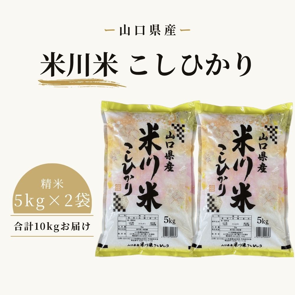 【ふるさと納税】 米川 こしひかり　精米　10kg （5kg×2袋） ／ 米 お米 コシヒカリ こしひかり 精米 白米 10kg 米川こしひかり 米川米 一等米 1等米 湧き水 山間部 寒暖差15℃ 希少品 米川地区 No.018