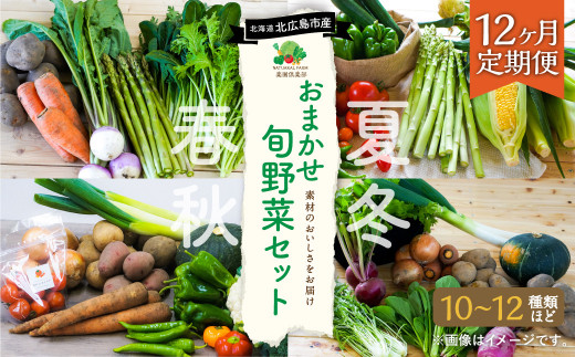 【12ヶ月定期便】 おまかせ 旬 野菜セット 10〜12種類 詰め合わせ 旬の野菜 12回 定期便 国産 新鮮 野菜 やさい セット 詰合せ 季節野菜 葉物 根菜 果菜 農家直送 冷蔵 北海道 北広島市