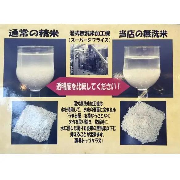 無洗米 ごてんば コシヒカリ 5kg 富士山の伏流水で仕上げた 米 お米 白米 精米 ブランド米 産地直送 バナジウム こしひかり 御殿場 富士山 静岡 静岡県 裾野 裾野市