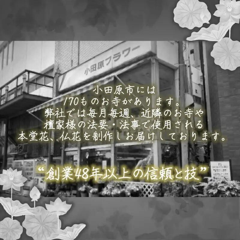 【“48年以上の信頼と技”詳しくは画像をお読みください】選べるお供え・お悔やみ・法要【 花 お花 神奈川県 小田原市 お花】