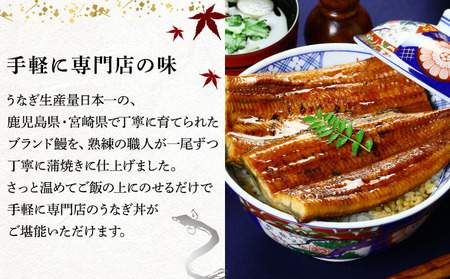国産 うなぎ 蒲焼き（無頭 約180g前後）×3尾 タレ＆山椒付 贈答用BOX入り【甲羅組 化粧箱入り 贈答 ギフト 長焼 うな重 うな丼 ひつまぶし 鰻 蒲焼 惣菜 丑の日 お中元 お歳暮 人気 高