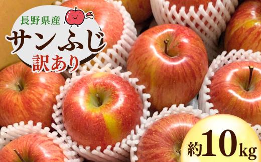 りんご 訳あり サンふじ 約10kg |  林檎 リンゴ アップル 果物 くだもの フルーツ ふじ フジ さんふじ 富士 10kg 10キロ わけあり 訳アリ 人気 おすすめ お取り寄せ 産地直送 長野県産 信州林檎 信州りんご 信州 長野 千曲市 浅間商産 ヤマサン