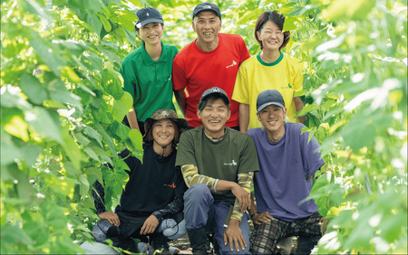 オクラパウダー200g(アグリスタイル/A-209)オクラ オクラパウダー