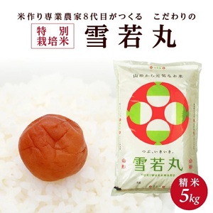 SA2706　令和7年産【精米】特別栽培米雪若丸　5kg×1袋「農家直送」 KA
