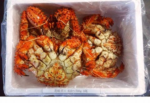 【北海道根室産】花咲ガニ610～700g×3尾 B-57004