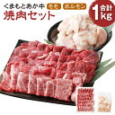 【ふるさと納税】くまもとあか牛 焼肉セット 計1000g モモ700g ホルモン300g 肉 お肉 牛肉 熊本県産 九州産 国産 あか牛 赤牛 褐牛 和牛 焼き肉 焼肉 グルメ 冷凍 送料無料