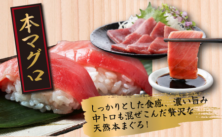 【３回定期便】３種のまぐろお手軽グルメセット６００ｇ( ３か月連続 本マグロ ビンチョウマグロ メバチマグロ スライス 切り落とし 切落し 天然 鮪 刺身 刺し身 食べ比べ 魚 さかな 高知 室戸 冷