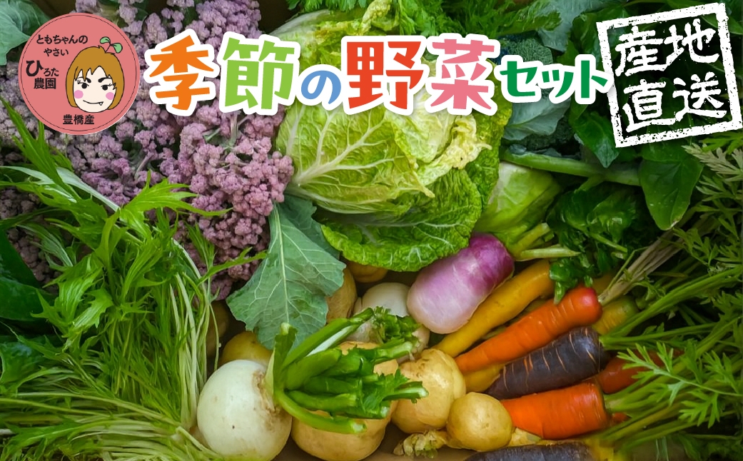 
                  【先行予約】彩り野菜セット【選べる種類数・お届け回数】3種 5種 7種 お試し 定期便 豊橋 国産 ミネラルたっぷり 海風そだち 潮風 家族で 大容量 豊橋 ともちゃんのやさい 直売所で大人気！ 愛知県 豊橋市 安心野菜 ブロッコリー キャベツ
                