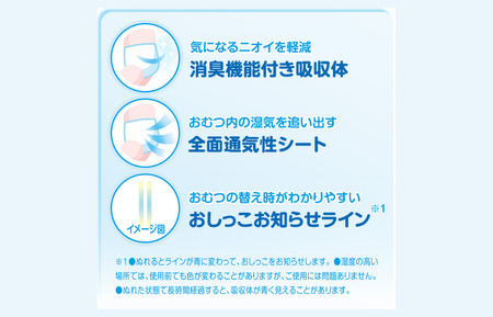 グーン ぐんぐん吸収パンツ プリンセスデザイン Lサイズ 44枚 パンツタイプ 3パック おむつ オムツ ベビー