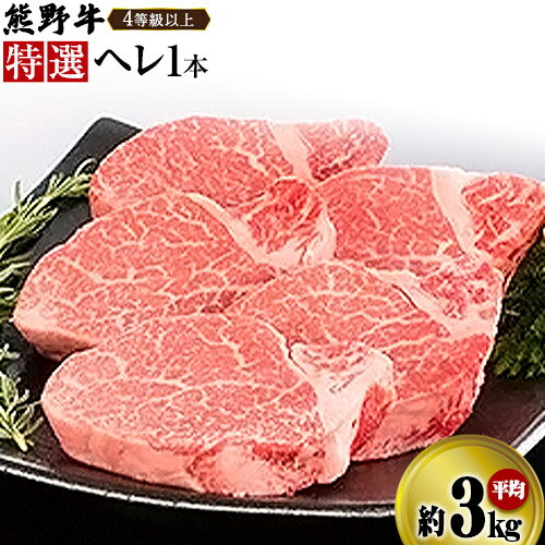 【ふるさと納税】【レビューキャンペーン】「 熊野牛 」特選 ヘレ 一本 カットなし or 2cmカット 4等級以上 株式会社松源《30日以内に出荷予定(土日祝除く)》和歌山県 日高町 牛肉 ステーキ 焼肉