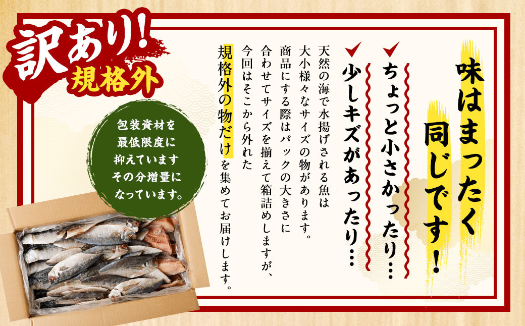 【訳あり規格外】業務用 干物詰め合わせ 1kg