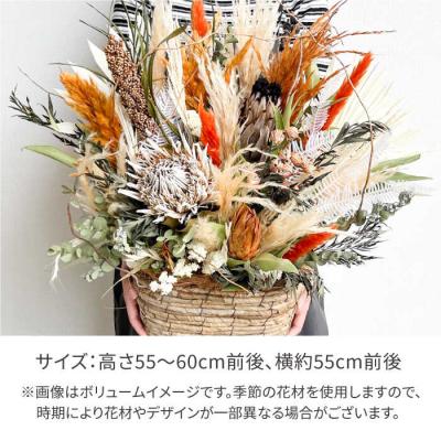 ふるさと納税 糸島市 プロテアのアレンジメント(Lサイズ)糸島市/tokohana ドライフラワー [AOC037] |  | 03