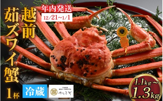 【先行予約】[捌き済選択可][到着日指定可]蟹好きにおすすめ！老舗カニ専門店の「越前ずわいがに」特大サイズ(1.1kg～1.3kg) ＜年内発送＞ [P-085029] / カニ かに かにボイル かにみそ 越前ガニ ズワイガニ ずわい蟹 ズワイガニ 姿 福井 国産 冷蔵 送料無料 越前ガニ ズワイガニ ずわい蟹 ズワイガニ 年内発送 年内配送 年内お届け