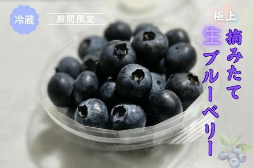 【ふるさと納税】＜選べる 容量＞極上摘みたてブルーベリー　100g×4パックまたは100g×6パック【期間限定】冷蔵　静岡県 小山町 送料無料