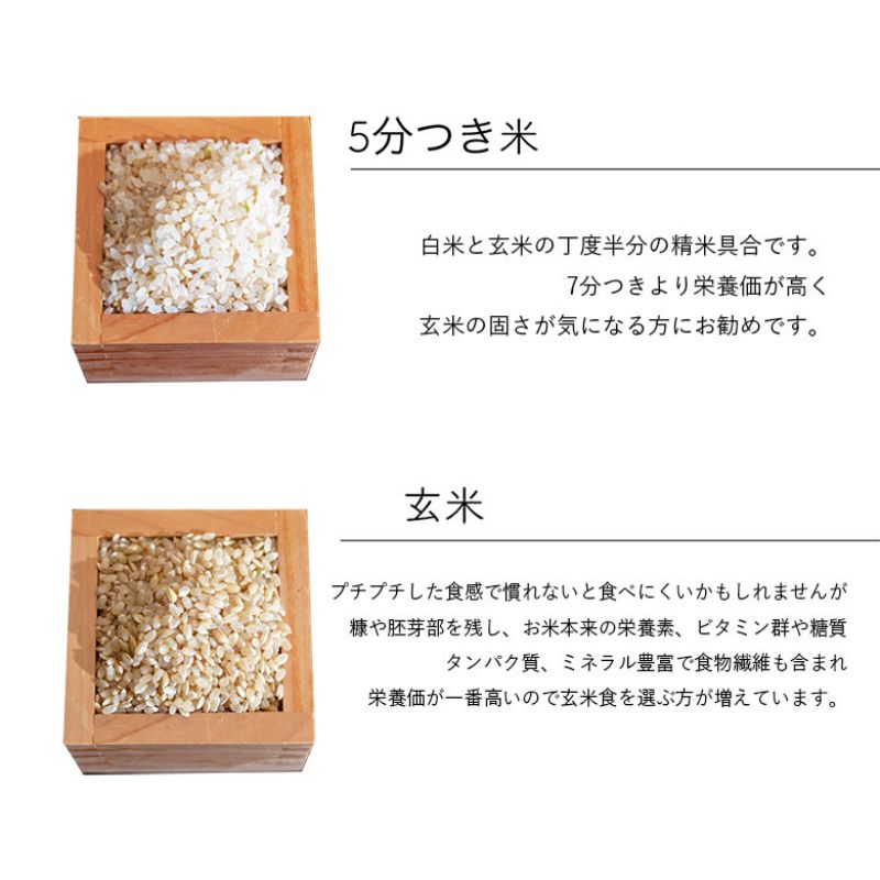 【選べる精米率】新米 令和7年産 三重県産 コシヒカリ 5kg［白米 玄米 5分つき米 7分つき米]　白米