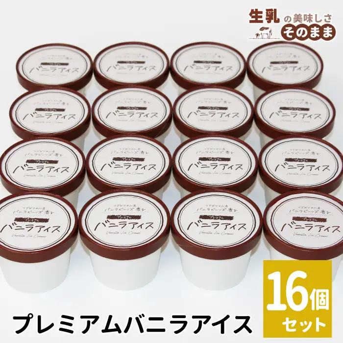 2026年7月1日～寄付金額変更★〈スピード発送〉マダガスカル産 バニラビーンズを使用した 濃厚バニラアイスクリーム 16個入り 10000円 10,000円