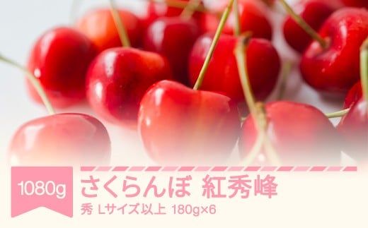 
            【先行予約】2026年産 さくらんぼ 紅秀峰 秀 Lサイズ以上 1080g(180g×6) 山形県産 フルーツ 果物 くだもの サクランボ ※沖縄・離島への配送不可  sb-bsslx1200
          