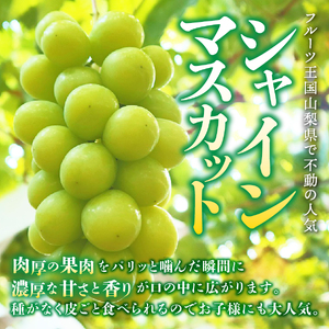 【2026年発送 先行予約】【2回定期便】厳選 旬のフルーツ定期便（桃2kg・シャインマスカット1kg以上） もも 桃 モモ シャインマスカット ぶどう 葡萄 新鮮 果物 贅沢 2回 フルーツ もも 