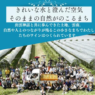 ふるさと納税 雲南市 ソーヴィニヨンブラン(白ワイン 辛口) 750ml×1本 |  | 01