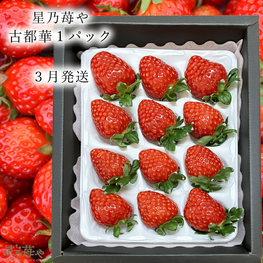 【ふるさと納税】【先行予約】【古都華】1パック 2026年3月発送 オリジナル贈答用箱入り // /苺 いちご イチゴ 古都華 奈良 奈良県 広陵町 生産者直送 直送 厳選 数量限定 旬 フルーツ 甘い 完熟 果物