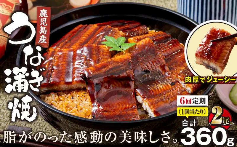 2324-1 【全6回定期便】鹿児島産うなぎ 合計360g（180g×2尾） 清らかな 地下水 育ち！ KN021-T20 鰻 魚 惣菜 総菜