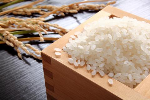 栃木県産　コシヒカリ5kg・とちぎの星5kg【白米食べ比べセット】