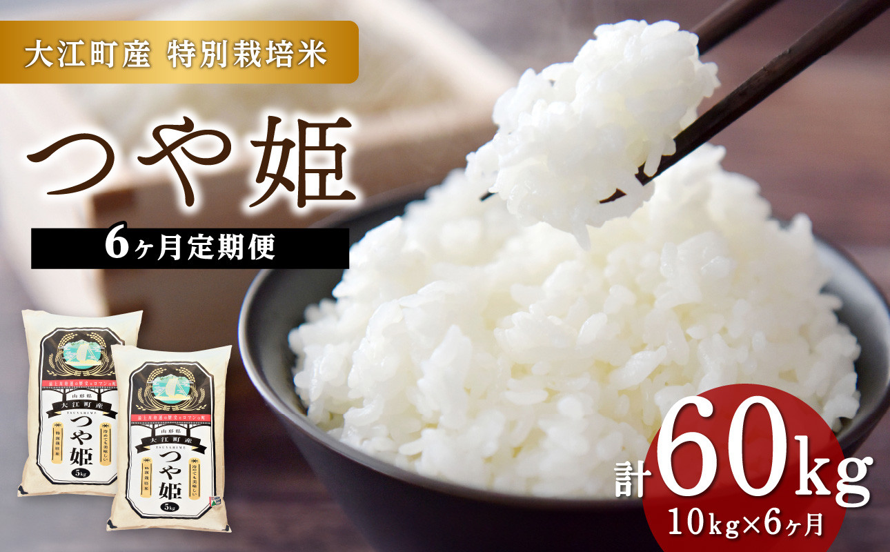 
            《6ヶ月定期便》【令和6年産米】大江町産 つや姫 10kg(5kg×2袋)×6ヶ月(計60kg)【山形県産 特別栽培米】【2024年産米】【001-T20】
          